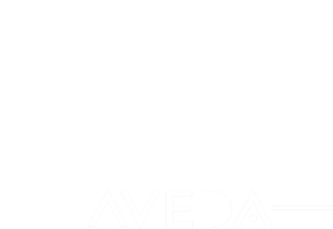 Lux Salon North Royalton